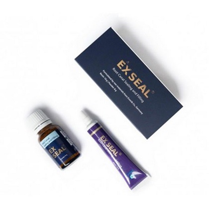 سیلر رزینی Ex Seal پارلا